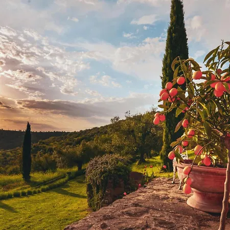 בית נופש Locazione Turistica Il Conforto Dell'Artista Fontignano